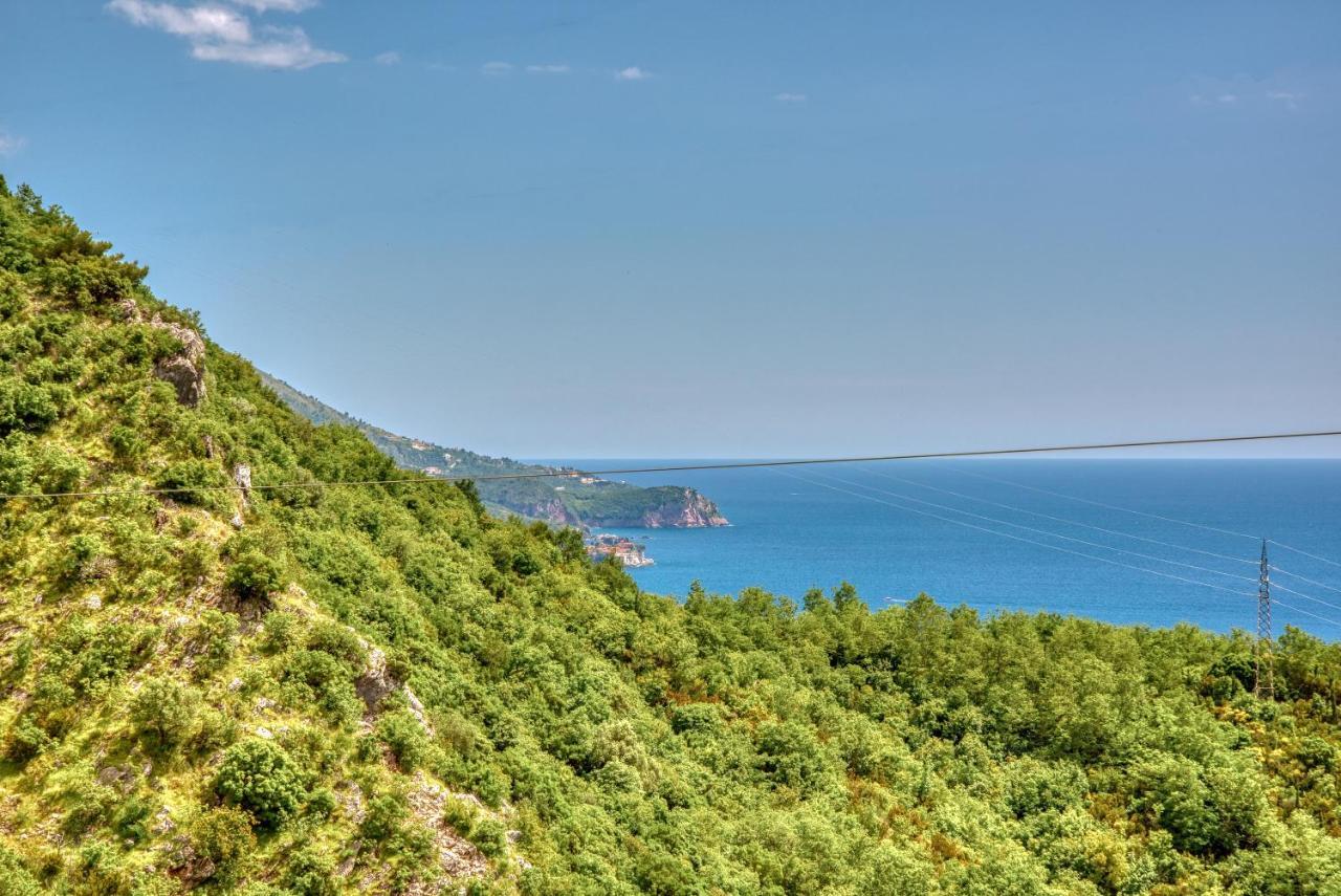 Vila Stari Mlin Ivanovici Luaran gambar