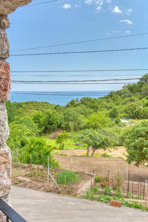 Vila Stari Mlin Ivanovici Luaran gambar