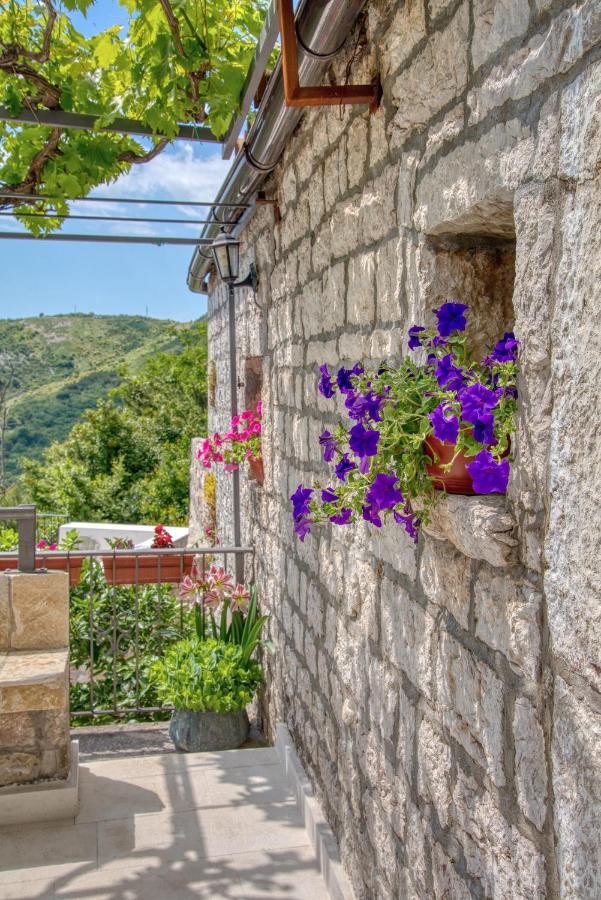 Vila Stari Mlin Ivanovici Luaran gambar