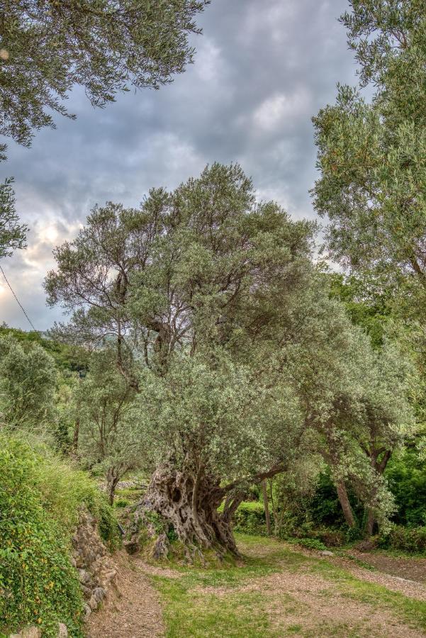 Vila Stari Mlin Ivanovici Luaran gambar